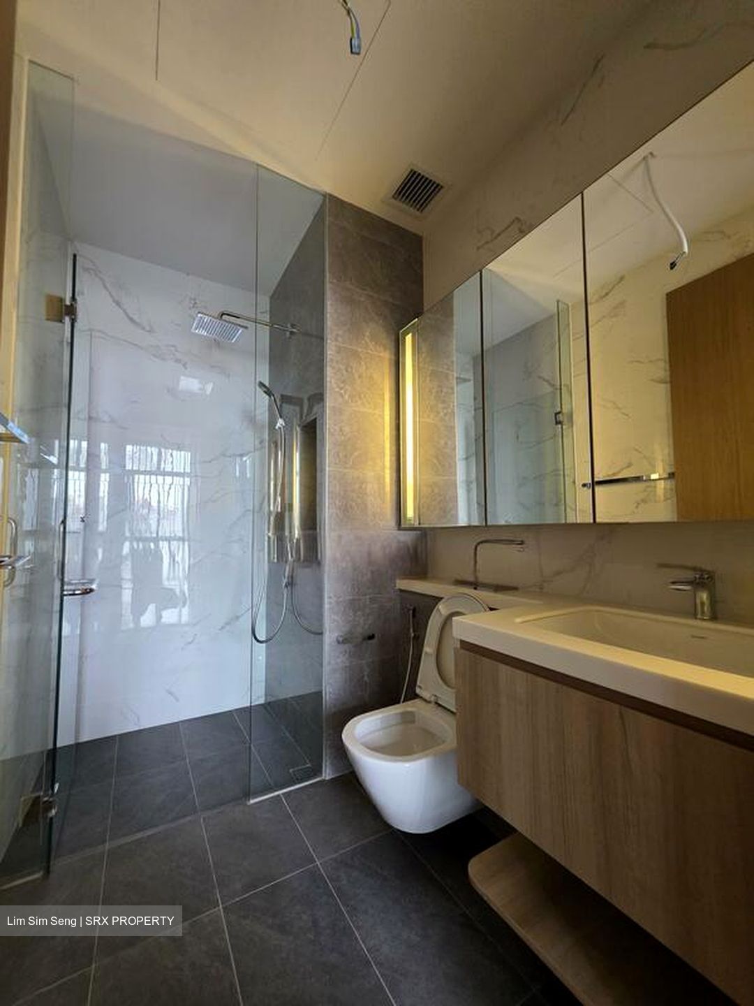 Sanctuary @ Newton (D11), Apartment #511042011